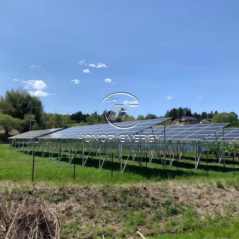 কেন একাধিক সারি টাইপ সোলার ফার্মল্যান্ড মাউন্ট আধুনিক এগ্রিভোলটাইক প্রকল্পের জন্য সেরা পছন্দ হয়ে উঠছে